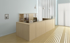 Ресепшн серии "Стиль"