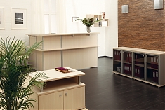 Ресепшн серии "Vasanta"