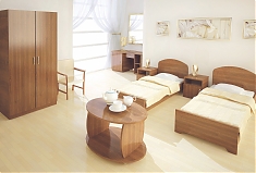 Мебель для гостиниц серии "Монолит"